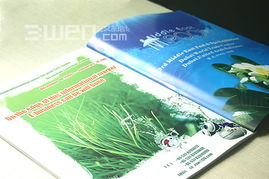 從品牌視覺到文化內(nèi)核 VI設(shè)計(jì)如何賦能企業(yè)的文體氣質(zhì)